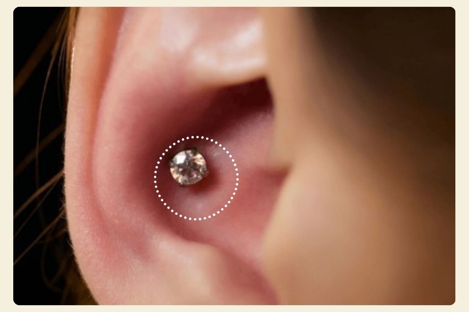 Conch Piercing