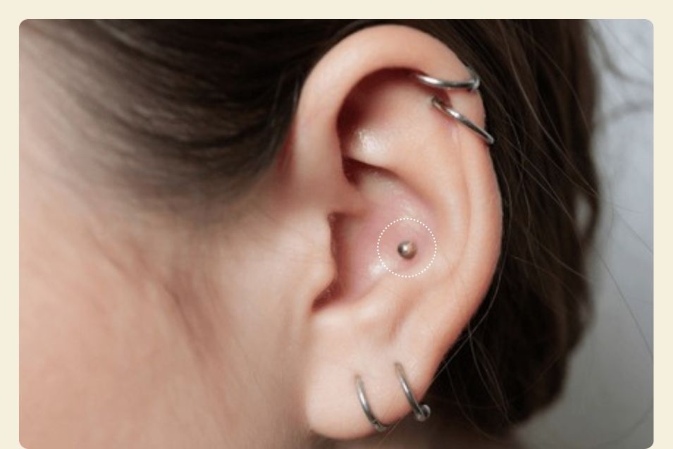 Conch Piercing