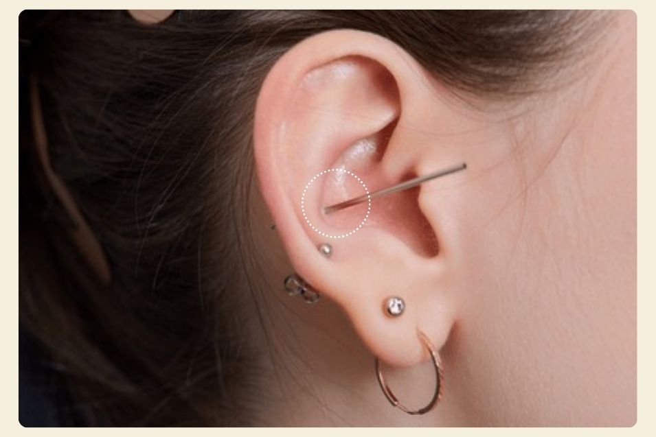 Conch Piercing