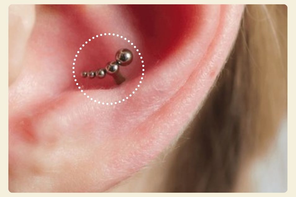 Conch Piercing