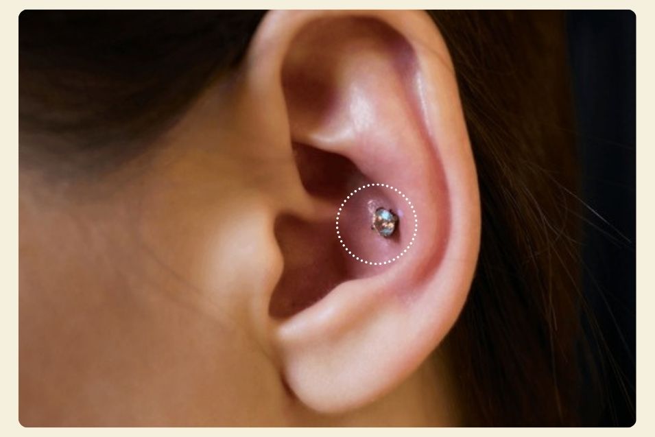 Conch Piercing