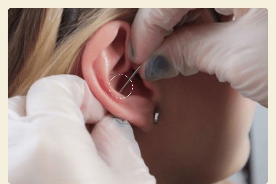 How to Pierce a Conch