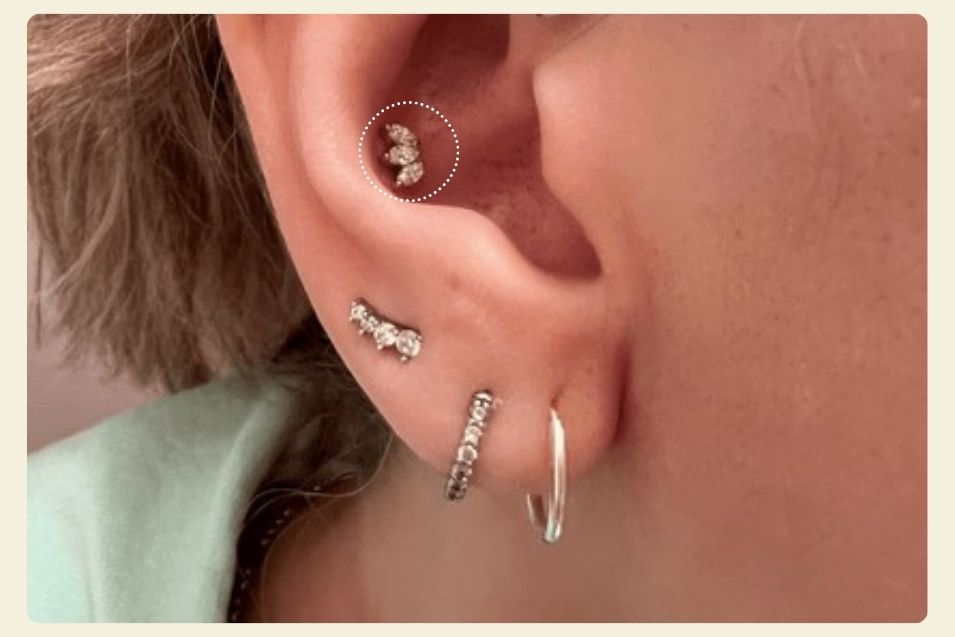 conch piercing