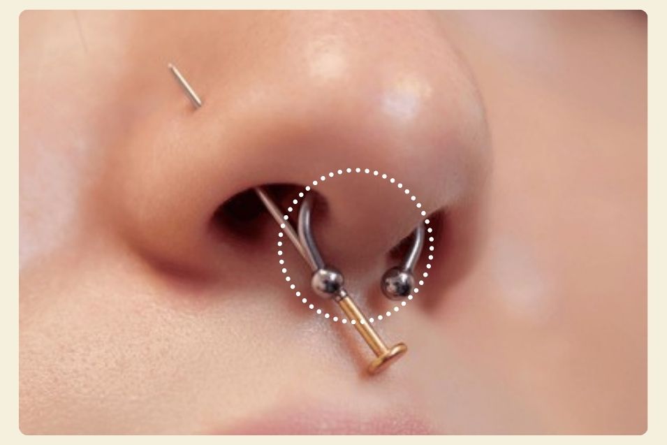 septum piercing